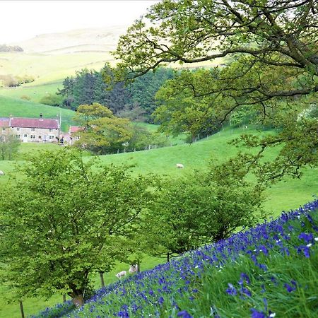 Bluebells Cottage Chop Gate Buitenkant foto