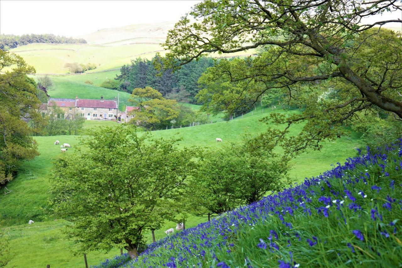 Bluebells Cottage Chop Gate Buitenkant foto