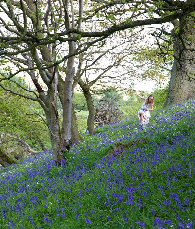Bluebells Cottage Chop Gate Buitenkant foto