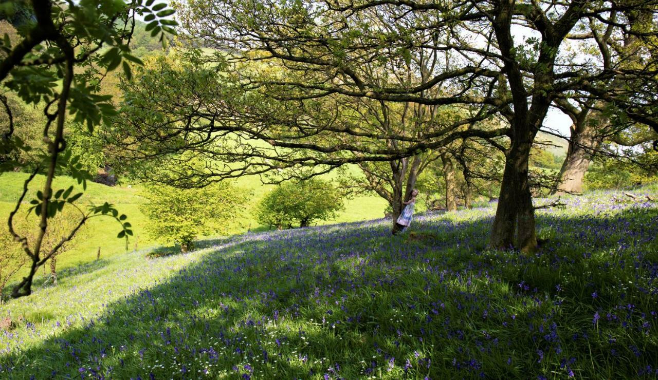 Bluebells Cottage Chop Gate Buitenkant foto